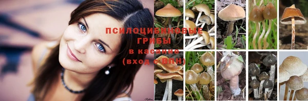 прущая мука Горнозаводск