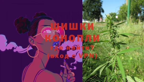 стаф Горно-Алтайск