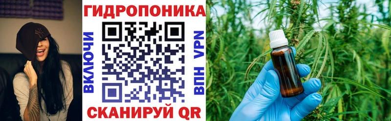 Купить закладки  Приморск  Канабис SATIVA & INDICA 